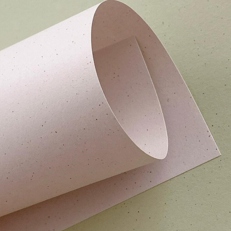 May include: A single sheet of light pink paper with a speckled texture, rolled into a curved shape. The paper features small, dark, randomly distributed flecks across its surface, creating a subtle, natural, and fibrous appearance throughout.