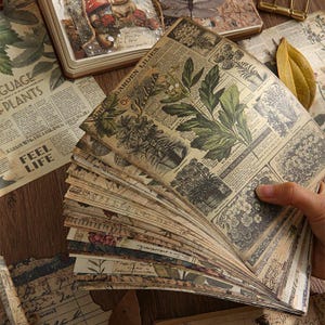 Könnte beinhalten: Eine Sammlung rechteckiger Papierbögen mit botanischen Illustrationen im Vintage-Stil von Gartenlilien und verschiedenen Pflanzen. Das Papier hat ein sepiafarbenes, gealtertes Aussehen mit gedrucktem Text, darunter Garden Lilies, Order for und Begonia.