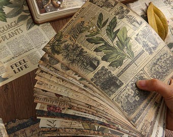 May include: A collection of rectangular paper sheets featuring vintage-style botanical illustrations of garden lilies and various plants. The paper has a sepia-toned, aged appearance with printed text including Garden Lilies, Order for, and Begonia.