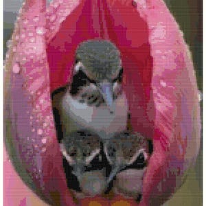 Hummingbirds in Tulip Counted Cross Stitch Pattern
