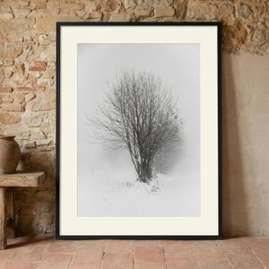Può includere: Fotografia incorniciata in bianco e nero di un albero in un paesaggio innevato. I rami spogli dell'albero si estendono verso l'alto, su uno sfondo nebbioso. La fotografia è in una cornice nera con un passe-partout bianco.
