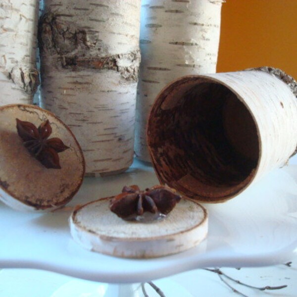 All Natural Birch Bark PARTY FAVOR logs-tubes- with one removable end  with Free shipping