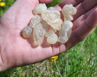 Encens Hojari Oman Royal Green — Résine pure Boswellia Sacra 50g — Frankincense naturel Dhofar — Encens Sacra