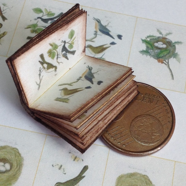 1:12 Miniature birds and nests book