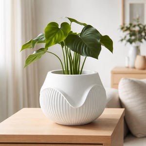 May include: A white ceramic plant pot with a distinctive curved design and vertical ribbed detailing. It contains a lush green plant with large, heart-shaped leaves. The pot sits on a light brown wooden table, creating a natural, minimalist aesthetic.