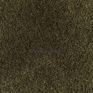 May include: Close-up of a textured, olive-green carpet. The carpet has a dense, short pile, creating a soft, uniform appearance. The color is a muted, earthy tone, suitable for various interior design styles.