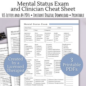 Modulo terapeutico per l'esame dello stato mentale/Note sulla terapia, foglio informativo del terapista MSE, assunzione di consulenza, note sulla psicoterapia, foglio di lavoro del terapista