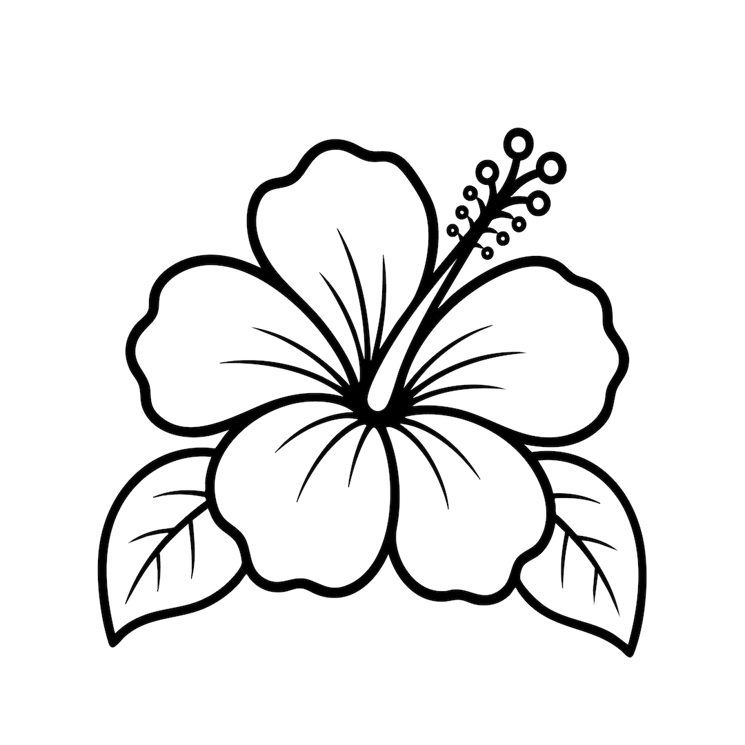 Hibiscus Flower SVG PNG, Tropical Flower Outline Cut File for Cricut ...