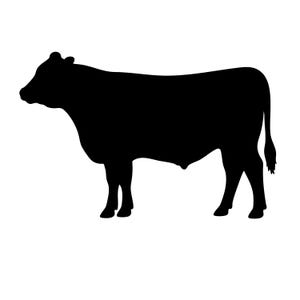 May include: A solid black silhouette of a cow shown in profile, facing toward the left. The graphic features the distinct outline of the animal's head, ears, back, tail, and four legs, presented as a flat, high-contrast shape on a plain background.