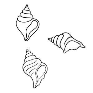 May include: A black and white line art illustration featuring three distinct seashell designs. Each shell displays a spiral structure with detailed ridges and a wide opening, presented as a clean graphic outline on a plain white background.
