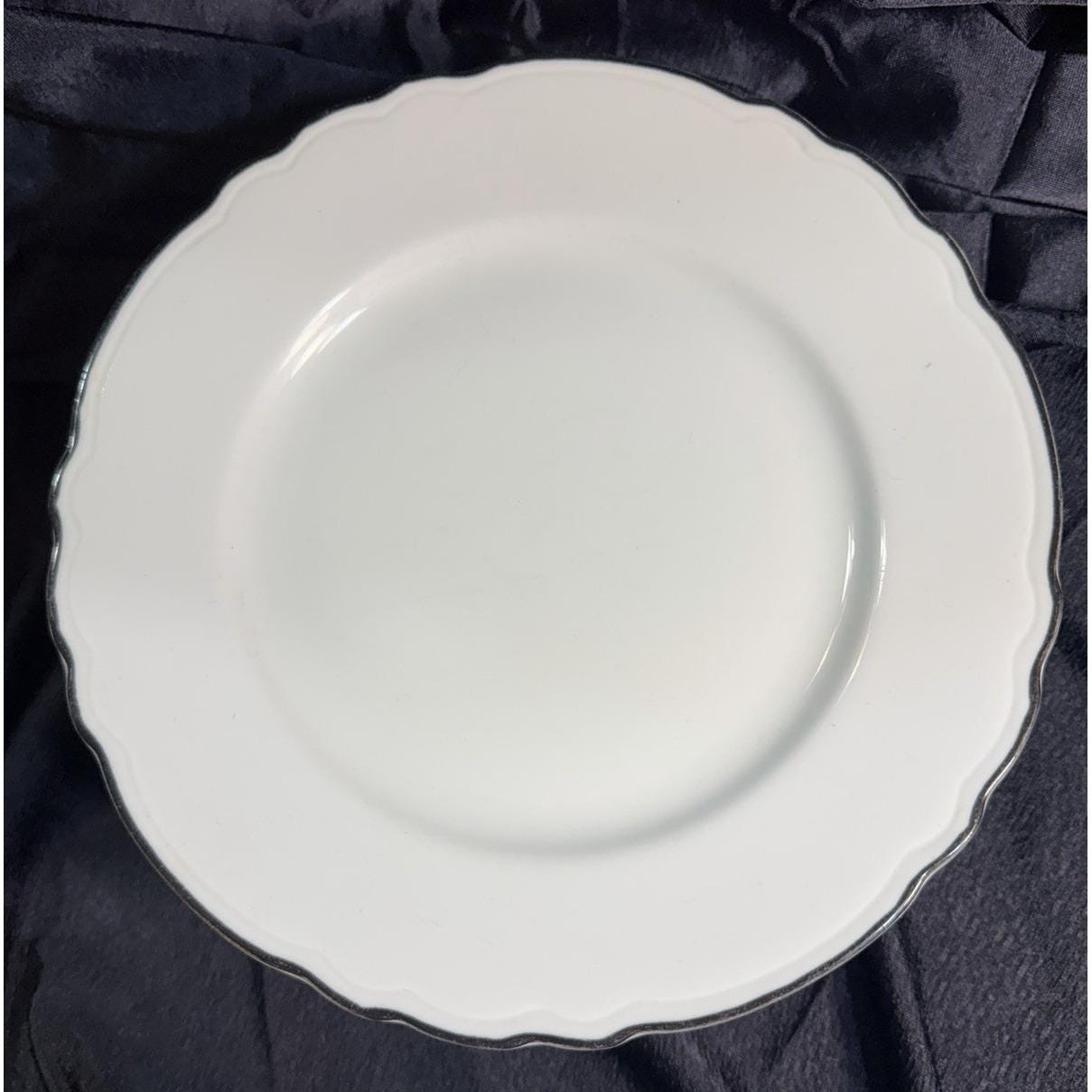 Buffalo china restaurant ware dinner plates - Etsy 日本