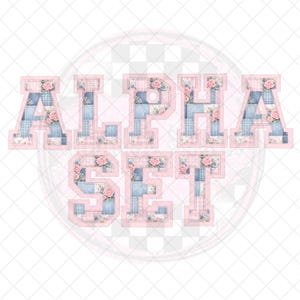 Conjunto Alpha de patchwork floral rosa