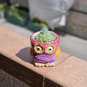 Coruja roxa de cerâmica feita à mão – Suporte para plantas artesanal
