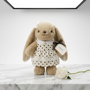 Personalized Embroidered Bunny Plush Baby Gift – Custom Stuffed Rabbit, Baby Shower Gift, Baby’s First Stuffed Animal, Nursery Keepsake