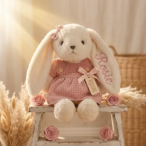 Personalized Embroidered Bunny Plush Baby Gift – Custom Stuffed Rabbit, Baby Shower Gift, Baby’s First Stuffed Animal, Nursery Keepsake