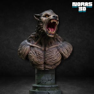 May include: A detailed bust of a snarling werewolf with exposed fangs and a ferocious expression. The sculpture features textured fur and muscular details, mounted on a stone pedestal. The text "NORAS 3D" is visible in the upper right corner.