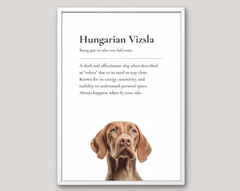Hungarian Vizsla Definition Print, Dog Lover Gift, Funny Dog Wall Art, Pet Illustration, Neutral Home Decor, Dog Breed Art