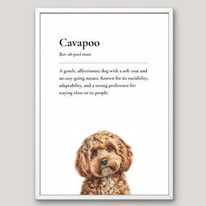 May include: A framed wall print featuring the word Cavapoo, its phonetic pronunciation, and a definition describing a gentle, affectionate dog with a soft coat. Below the text is a realistic illustration of a brown, curly-haired Cavapoo dog.