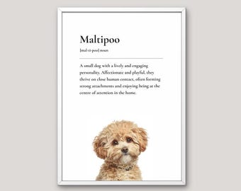 Maltipoo Definition Print, Dog Lover Gift, Funny Dog Wall Art, Pet Illustration, Neutral Home Decor, Dog Breed Art,