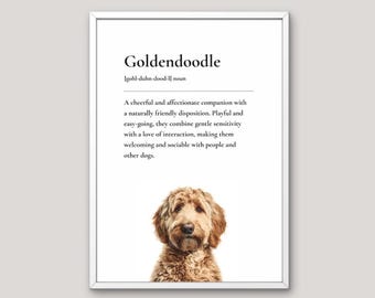 Goldendoodle Definition Print, Dog Lover Gift, Funny Dog Wall Art, Pet Illustration, Neutral Home Decor, Dog Breed Art, Just Think Dog