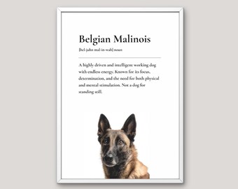 Belgian Malinois Definition Print, Dog Lover Gift, Funny Dog Wall Art, Pet Illustration, Neutral Home Decor, Dog Breed Art, Just Think Dog