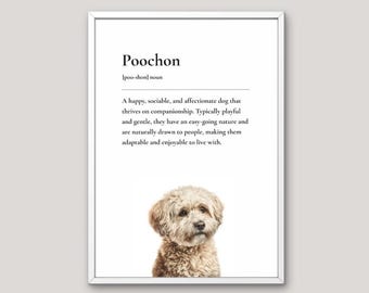 Poochon Definition Print, Dog Lover Gift, Funny Dog Wall Art, Pet Illustration, Neutral Home Decor, Dog Breed Art,