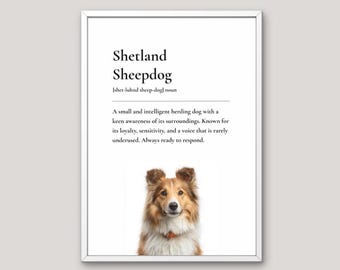 Shetland Sheepdog Definition Print, Dog Lover Gift, Funny Dog Wall Art, Pet Illustration, Neutral Home Decor, Dog Breed Art
