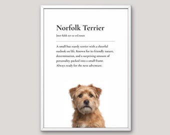 Norfolk Terrier Definition Print, Dog Lover Gift, Funny Dog Wall Art, Pet Illustration, Neutral Home Decor, Dog Breed Art,