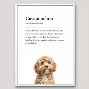 May include: A white framed wall art print featuring the word Cavapoochon, its phonetic pronunciation, and a descriptive paragraph about the breed's temperament. Below the text is a color photograph of a light brown, curly-haired dog.