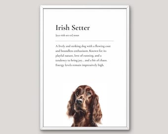 Irish Setter Definition Print, Dog Lover Gift, Funny Dog Wall Art, Pet Illustration, Neutral Home Decor, Dog Breed Art,