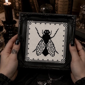 Op de afbeelding: Een vierkante, zwart versierde lijst met een kruissteekborduurwerk op witte stof. Het borduurwerk toont het silhouet van een groot, effen zwart insect met gedetailleerde, complexe witte geometrische patronen op de vleugels, omrand door een kader.