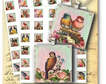 DIGITAL Digital Images - Digital Collage Sheet Download - Birds & Roses 1 inch Square for Jewelry Pendants - Instant Download Printables