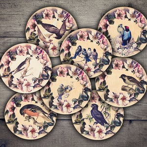 DIGITAL Birds and Roses 2.5&quot; Circles Digital Collage Sheet Printables
