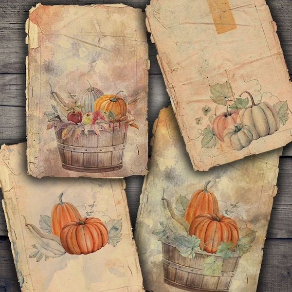 DIGITAL Vintage Grunge Fall Pumpkins - Digital Collage Sheet - Digital Papers Printables - VBM1580