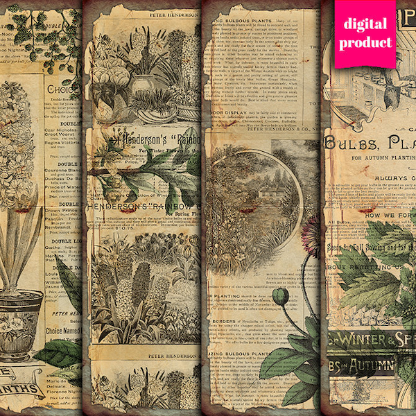 DIGITAL Vintage Botanical Ephemera - Grunge Botanical Digital Collage Sheet Download - VBM2421