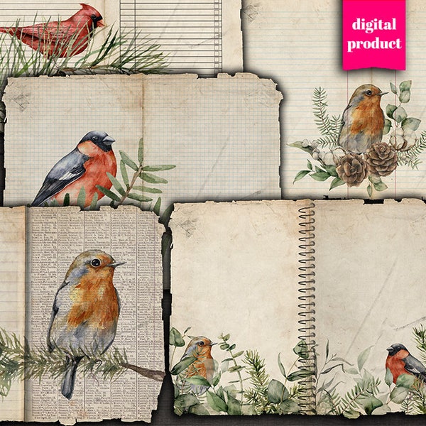 DIGITAL Birds Junk Journal Kit - Printable Grunge Journaling Pages - Digital Botanical Ephemera Download - VBM2549