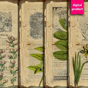 DIGITAL Vintage Botanische Ephemera - Grunge Botanische Digitale Collage Sheet Download - VBM2422