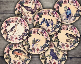 DIGITAL Birds and Roses 2.5" Circles Digital Collage Sheet Printables