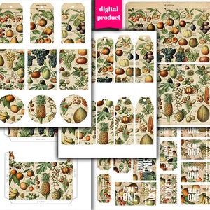 DIGITAL vintage Botanical Junk Journal Kit - Printable vintage Fruit Images for Junk Journals - VBM2611