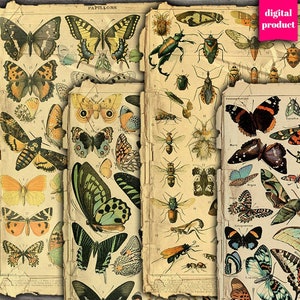 Vintage Butterfly Ephemera: Junk Journal Insects (Digital Download)
