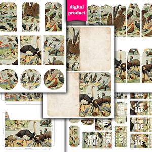 DIGITAL Vintage Bird Junk Journal Kit - Printable Vintage Birds Ephemera - VBM2622