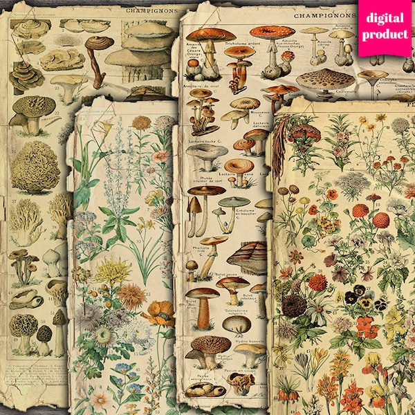 DIGITAL Vintage Botanical Junk Journal Ephemera - Grunge Flowers,Mushrooms, Plants Ephemera - VBM2601