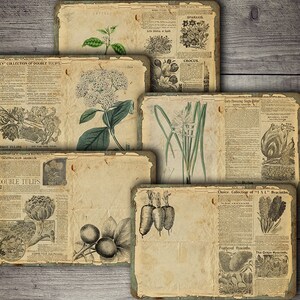 Vintage Botanical Collage Sheet: Junk Journal Ephemera (Digital Download)