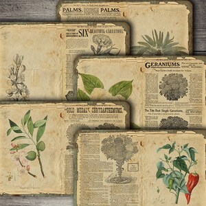 Vintage Botanical Collage Sheet: Junk Journal Ephemera (PDF Download)