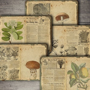 DIGITAL Vintage Botanical Junk Journal Ephemera - Download de folha de colagem botânica digital - VBM2219
