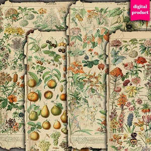 DIGITAL Vintage Botanical Junk Journal Ephemera - Grunge Bloemen, Planten, Vruchten Ephemera - VBM2600