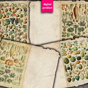 DIGITAL Botanical Junk Journal Pages - Printable Vintage Garden Journaling Pages - Botanical Ephemera Download - VBM2598