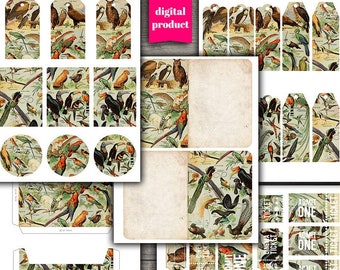 DIGITAL Vintage Bird Junk Journal Kit - Printable Vintage Birds Ephemera - VBM2623