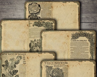 Lámina de collage botánico vintage: Material efímero para diarios creativos (Descarga digital)