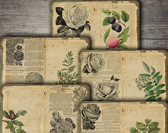 DIGITAL Vintage Botanical Junk Journal Ephemera - Digital Botanical Collage Sheet Download - VBM2223